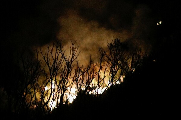 Φωτιά στην Κέρκυρα - Κάηκαν περισσότερα από 200 στρέμματα δάσους