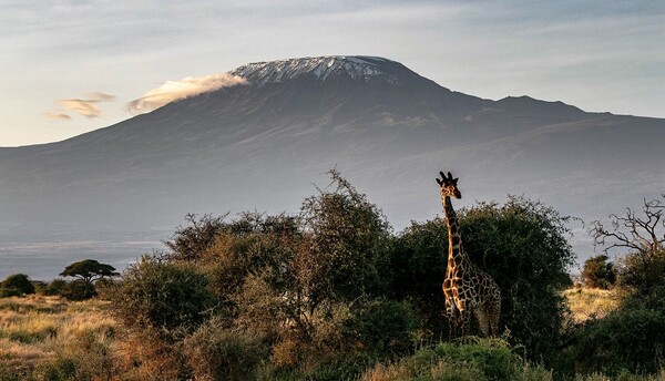 Κιλιμάντζαρο: Φωτιά στο ψηλότερο βουνό της Αφρικής