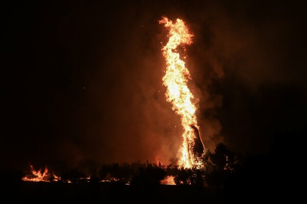 Μεγάλη φωτιά στην Πάτρα - Κοντά σε οικισμούς
