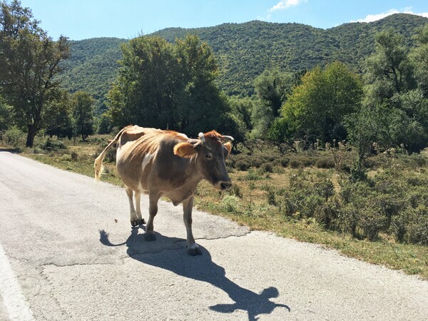 Αρχή φθινοπώρου στα Ζαγοροχώρια