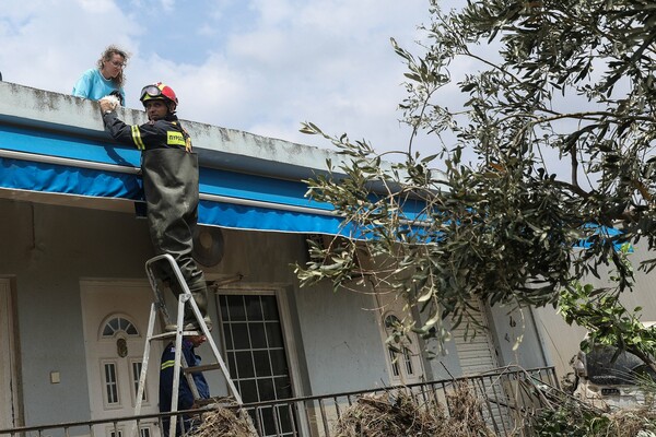 Εύβοια: 7 νεκροί και ένας αγνοούμενος από τις πλημμύρες - Ανυπολόγιστη η καταστροφή από την κακοκαιρία «Θάλεια»