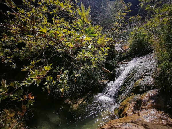 Oδοιπορικό στη Μεσσηνία