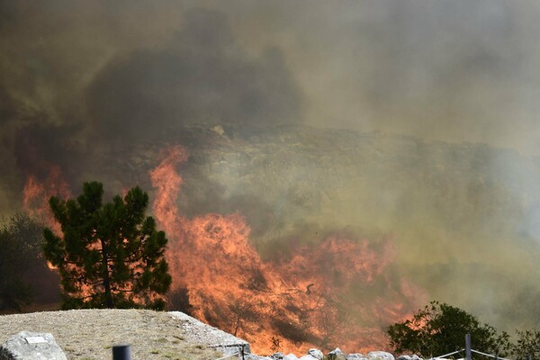 Φωτιά στις Μυκήνες: Οι φλόγες πέρασαν μέσα από τον αρχαιολογικό χώρο - Εικόνες από το σημείο