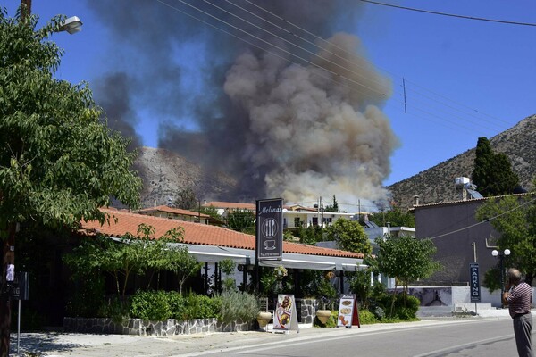 Φωτιά στις Μυκήνες: Οι φλόγες πέρασαν μέσα από τον αρχαιολογικό χώρο - Εικόνες από το σημείο