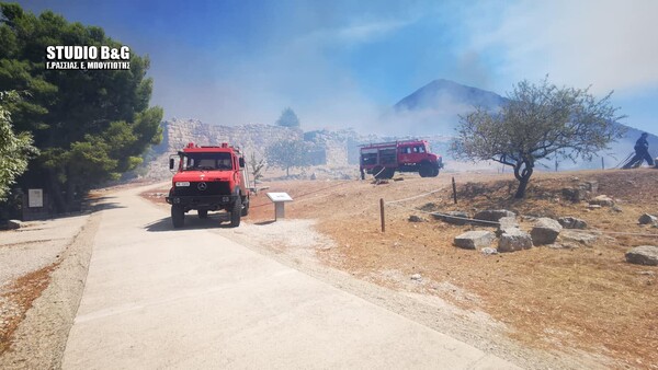 Φωτιά στις Μυκήνες: Οι φλόγες πέρασαν μέσα από τον αρχαιολογικό χώρο - Εικόνες από το σημείο