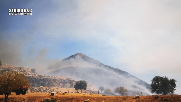 Φωτιά στις Μυκήνες: Οι φλόγες πέρασαν μέσα από τον αρχαιολογικό χώρο - Εικόνες από το σημείο