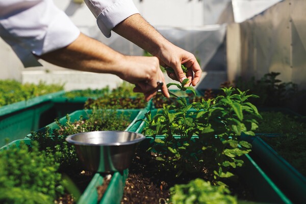 Oι νέες τάσεις στο αθηναϊκό φαγητό: Vegan τυριά και μπιφτέκια, delivery γλυκών, πίτσα και grill houses