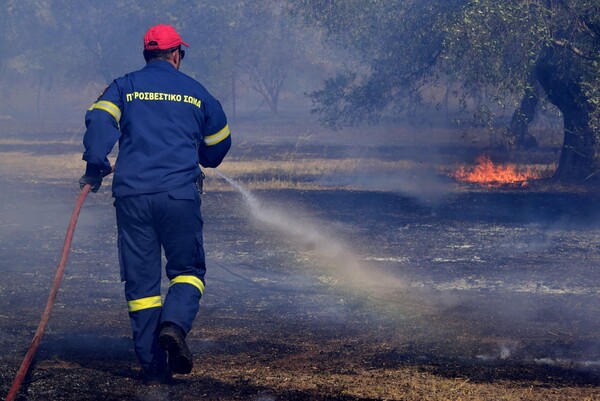 Πυρκαγιά στην περιοχή Κουταλάς Κορινθίας