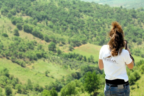 Τρίκαλα: Ταξίδι στους μοναδικούς βιοτόπους προστατευόμενων περιοχών- Σπάνια χλωρίδα και πανίδα