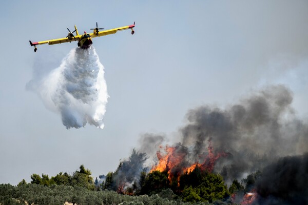 Πολύ υψηλός ο κίνδυνος πυρκαγιάς την Τετάρτη σε 7 περιφέρειες - Ο χάρτης της ΓΓΠΠ