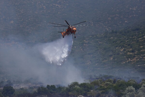 Κύθηρα: Πυρκαγιά σε δασική έκταση - Ενισχύονται οι δυνάμεις της πυροσβεστικής