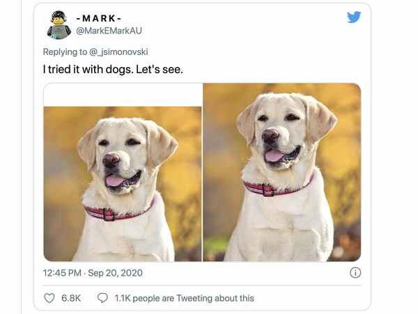 Twitter: «Ρατσιστικός αλγόριθμος» κρόπαρε φωτογραφίες εστιάζοντας στους λευκούς έναντι των μαύρων