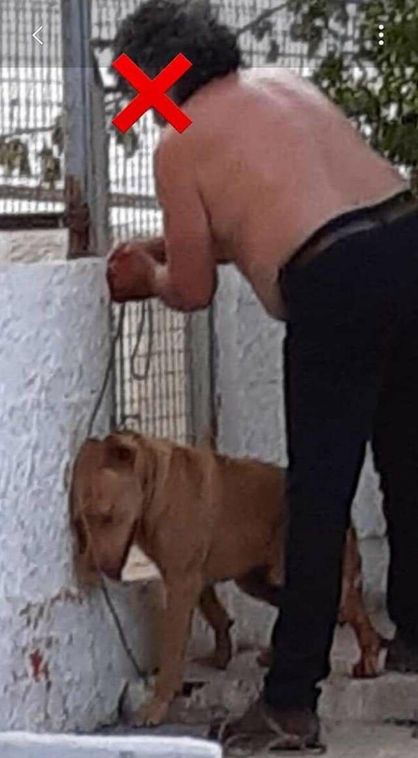 Χανιά: Στην αστυνομία ο άνδρας που κακοποίησε τον σκύλο του