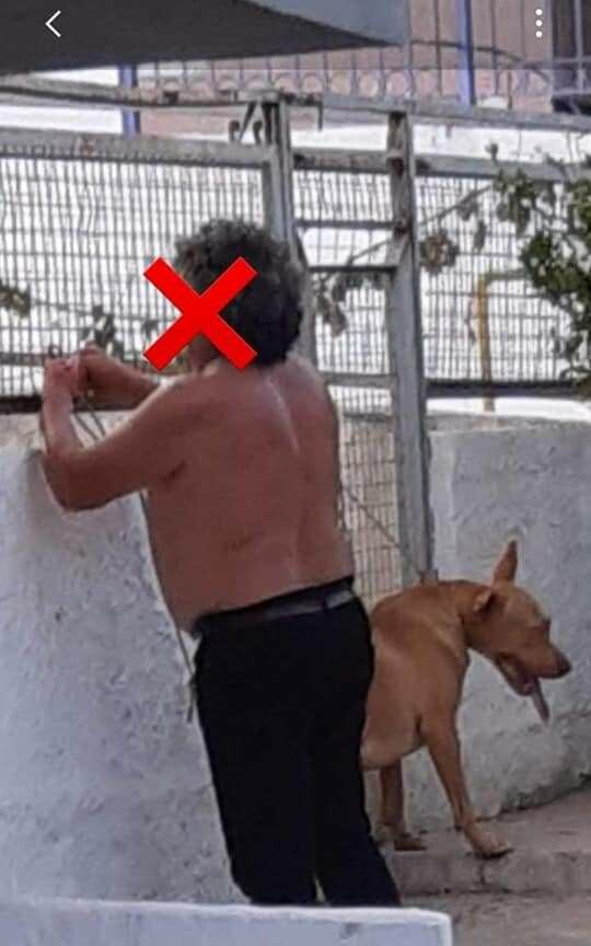 Χανιά: Στην αστυνομία ο άνδρας που κακοποίησε τον σκύλο του