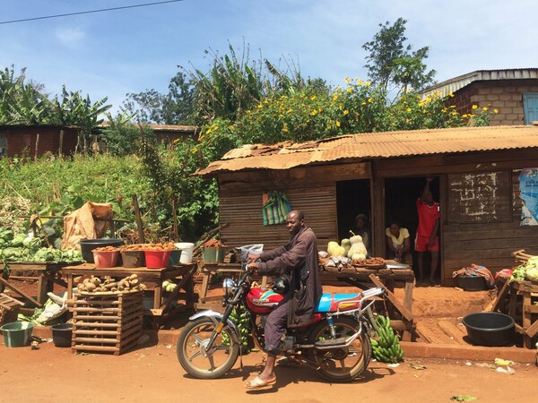 Το ημερολόγιο του Σωκράτη Σωκράτους από ένα ταξίδι του στο Καμερούν