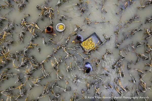 Aerial Photography Awards: Οι 23 αεροφωτογραφίες που κέρδισαν - Δύο από τη Σαντορίνη