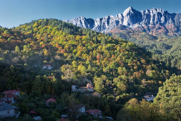 «Μπορείς να ανακαλύπτεις την ελληνική φύση ξανά και ξανά, για μια ζωή»