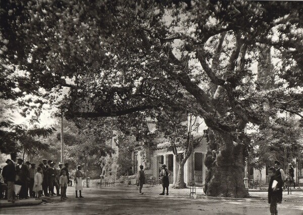 107 αριστουργηματικές φωτογραφίες μιας απλής, ήσυχης Ελλάδας (1903-1930)