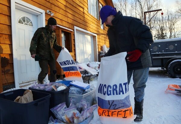 Iditarod: Οι προετοιμασίες για τις ελκηθροδρομίες σκύλων της Αλάσκας