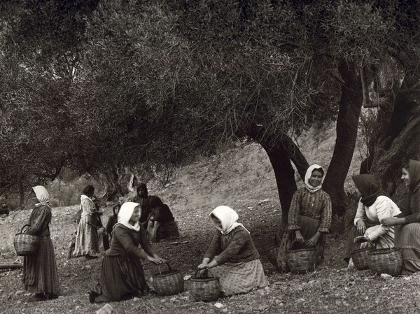 107 αριστουργηματικές φωτογραφίες μιας απλής, ήσυχης Ελλάδας (1903-1930)