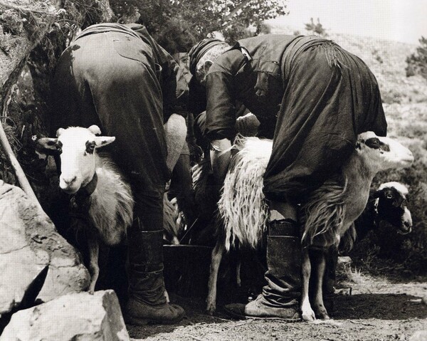 80 ανεκτίμητες φωτογραφίες της Κρήτης 1911 - 1949