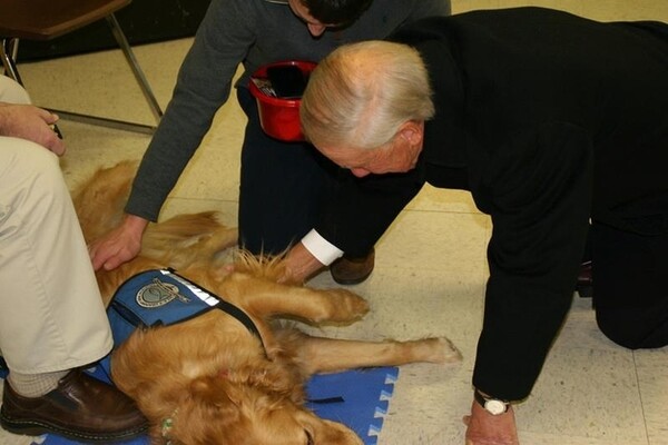 Τα Golden Retrievers παρηγορούν τους κατοίκους του Newtown