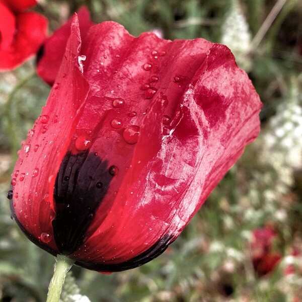 INSTA#LIFO: Τρίτη 9 Απριλίου