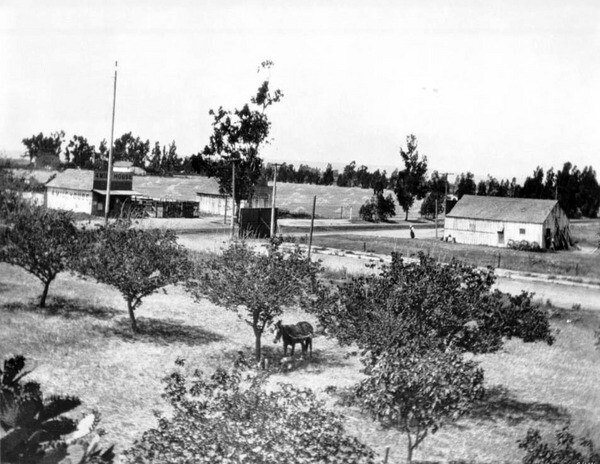 Κι όμως, αυτό ήταν κάποτε το Λος Άντζελες