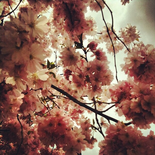 INSTA#LIFO: Τρίτη 23 Απριλίου
