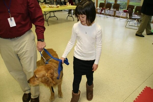 Τα Golden Retrievers παρηγορούν τους κατοίκους του Newtown