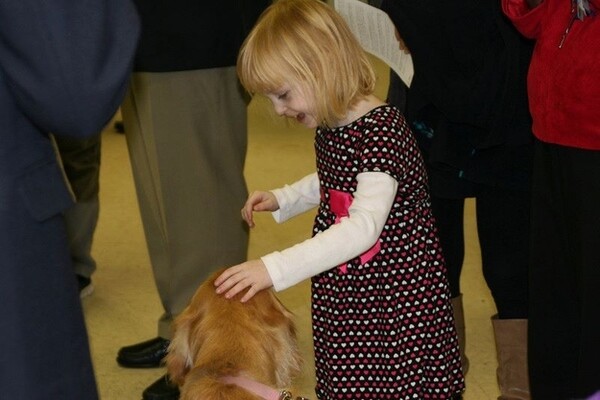 Τα Golden Retrievers παρηγορούν τους κατοίκους του Newtown