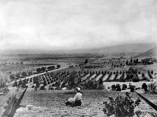 Κι όμως, αυτό ήταν κάποτε το Λος Άντζελες