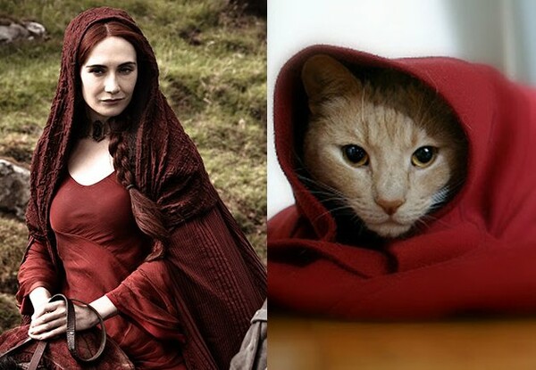 Πώς θα ήταν οι πρωταγωνιστές του Game of Thrones αν ήταν γάτες;