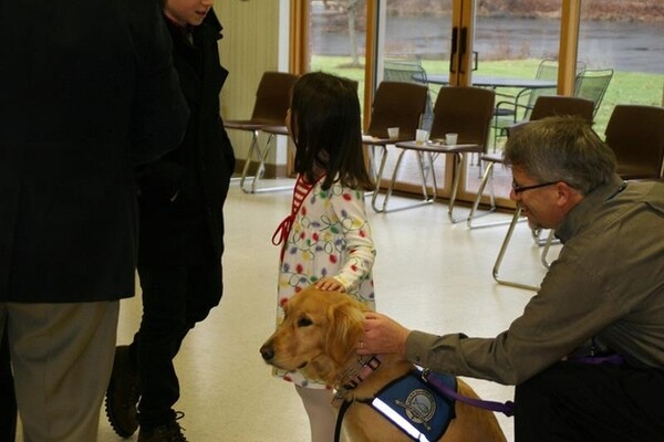 Τα Golden Retrievers παρηγορούν τους κατοίκους του Newtown