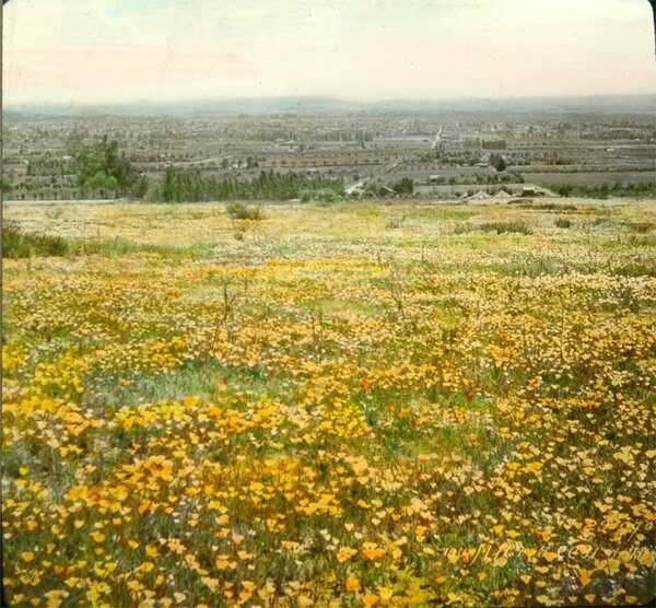 Κι όμως, αυτό ήταν κάποτε το Λος Άντζελες