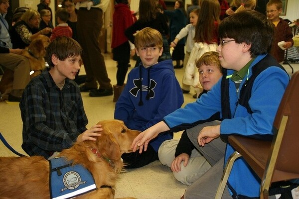 Τα Golden Retrievers παρηγορούν τους κατοίκους του Newtown