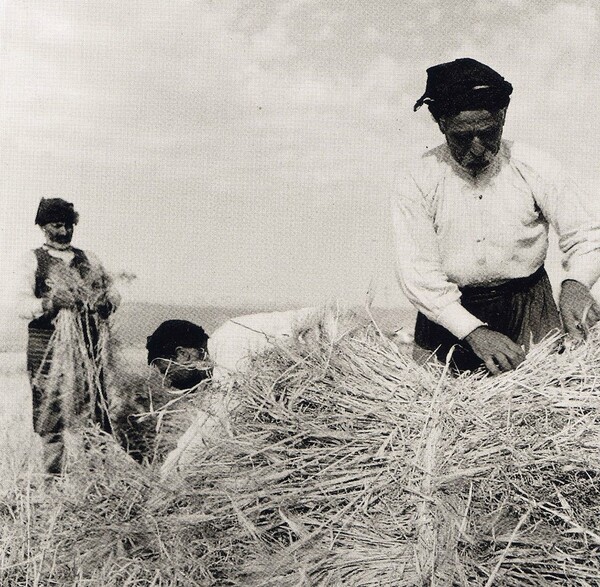 80 ανεκτίμητες φωτογραφίες της Κρήτης 1911 - 1949