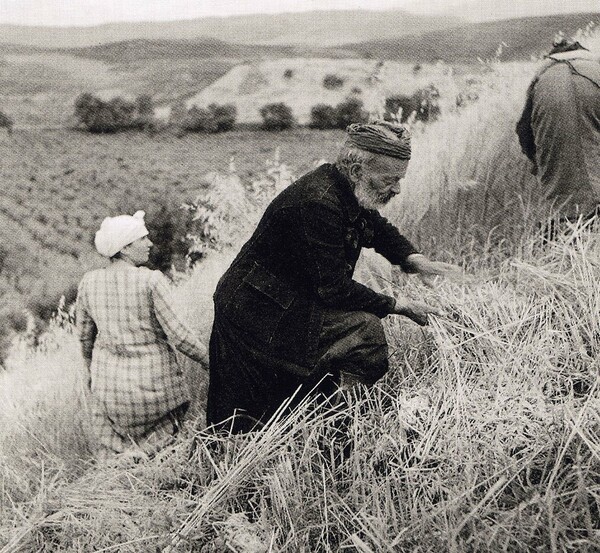 80 ανεκτίμητες φωτογραφίες της Κρήτης 1911 - 1949