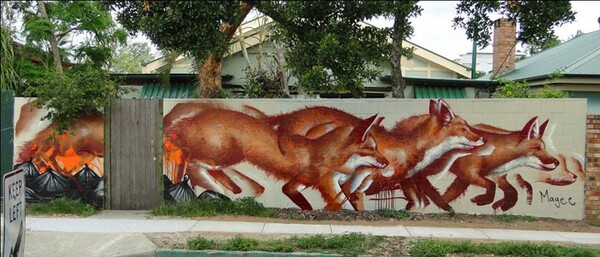 27 γκράφιτι με ζώα