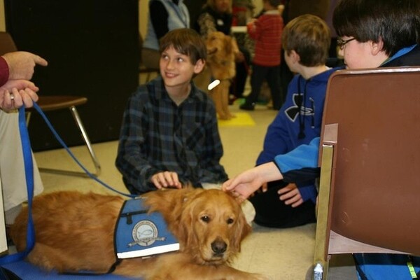 Τα Golden Retrievers παρηγορούν τους κατοίκους του Newtown