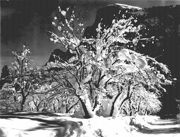 40 ασπρόμαυρες φωτογραφίες του θρυλικού Ansel Adams