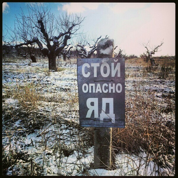 INSTA#LIFO: Τρίτη 8 Ιανουαρίου