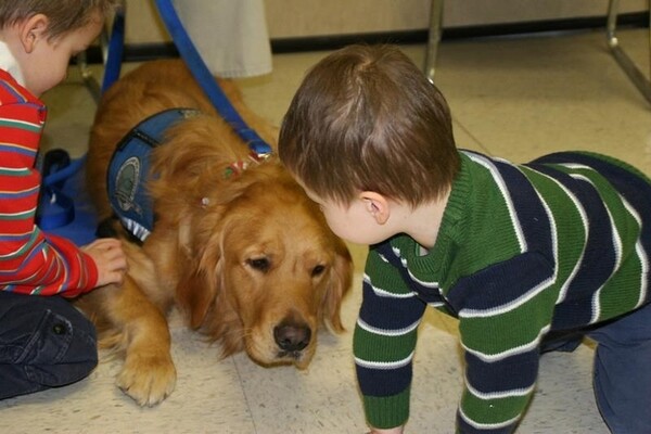 Τα Golden Retrievers παρηγορούν τους κατοίκους του Newtown