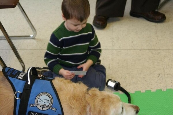 Τα Golden Retrievers παρηγορούν τους κατοίκους του Newtown