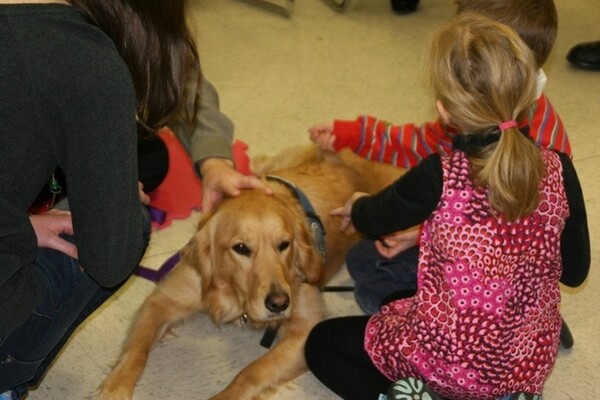 Τα Golden Retrievers παρηγορούν τους κατοίκους του Newtown