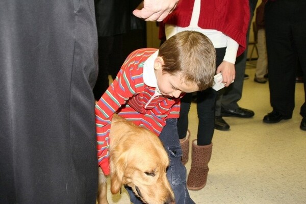 Τα Golden Retrievers παρηγορούν τους κατοίκους του Newtown