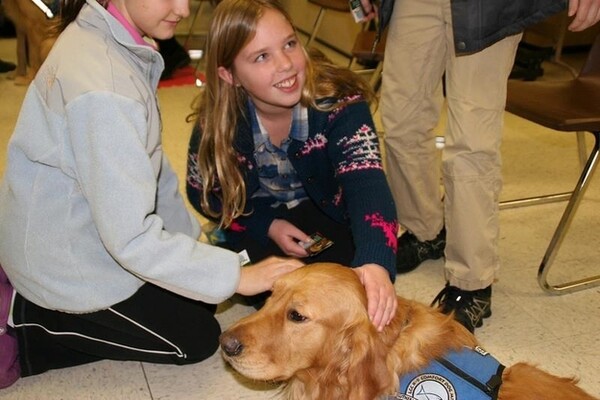 Τα Golden Retrievers παρηγορούν τους κατοίκους του Newtown