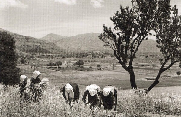 80 ανεκτίμητες φωτογραφίες της Κρήτης 1911 - 1949