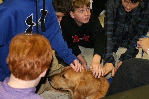 Τα Golden Retrievers παρηγορούν τους κατοίκους του Newtown