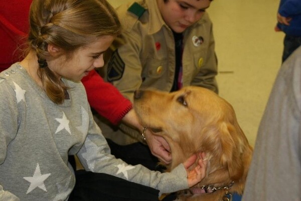 Τα Golden Retrievers παρηγορούν τους κατοίκους του Newtown